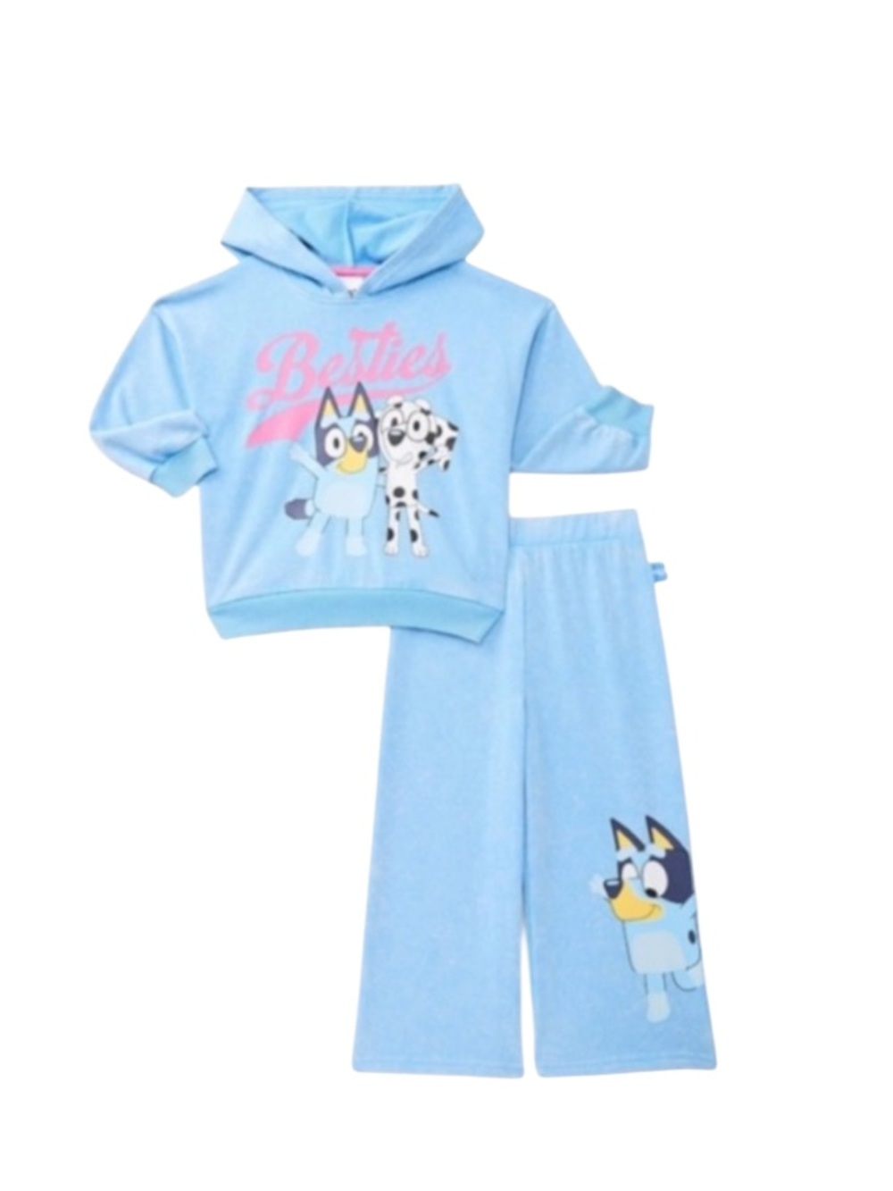 Girls 12 Month Bluey Hoodie Set